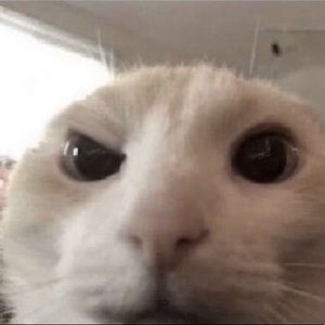 Meet your Posher, Sabrina